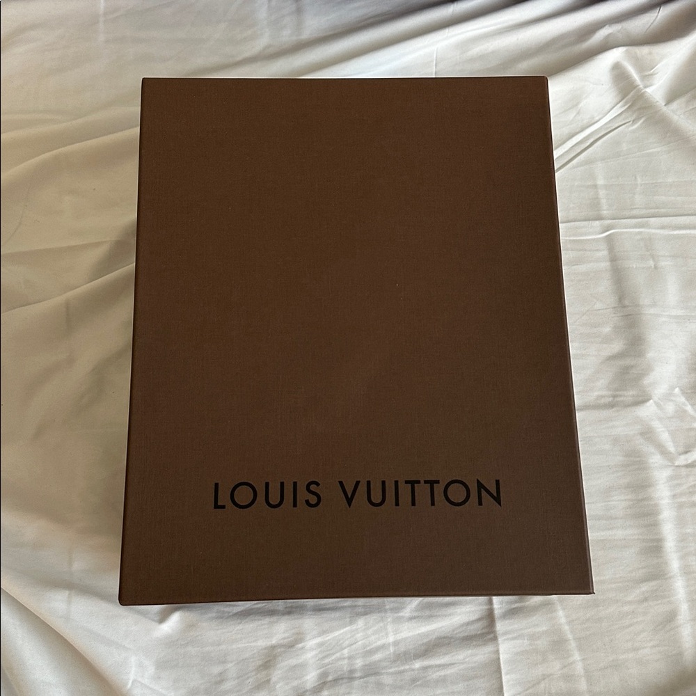 Empty Louis Vuitton Box